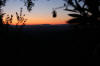Morgenstimmung
